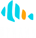 Веб-студия «Прилив» — разработка сайта